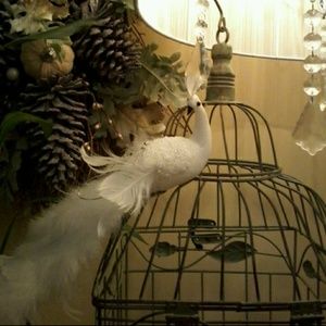 Meet your Posher, White peacock